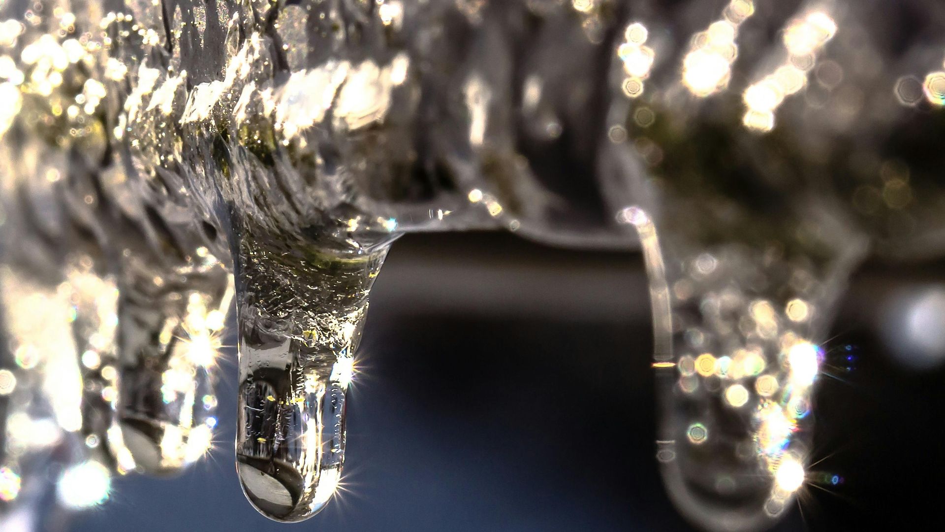 6. Gouttes de glaçons holographiques