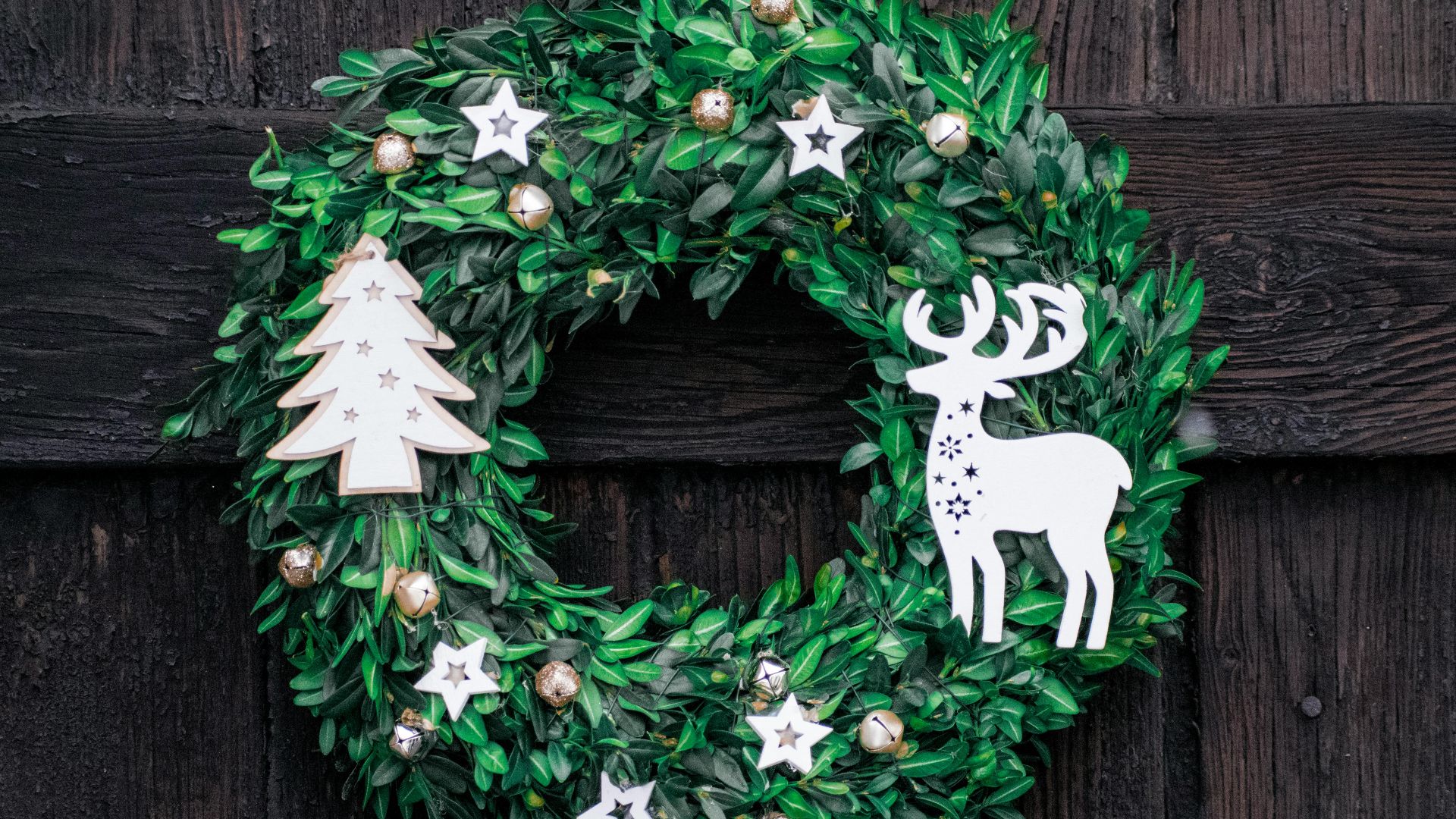 13. Couronne de verdure Cuticle Art