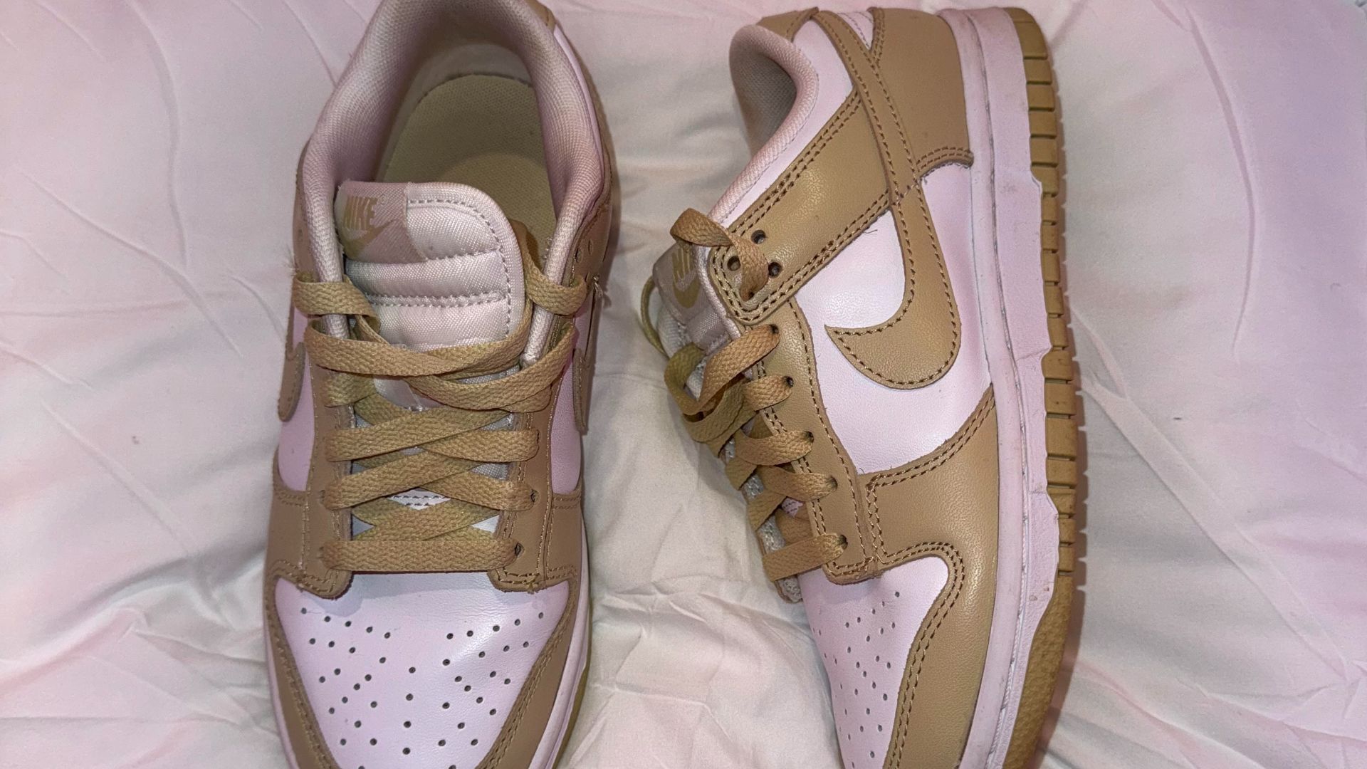 16. Nike SB Dunk Low "Paris Friends &amp; Family Retro"