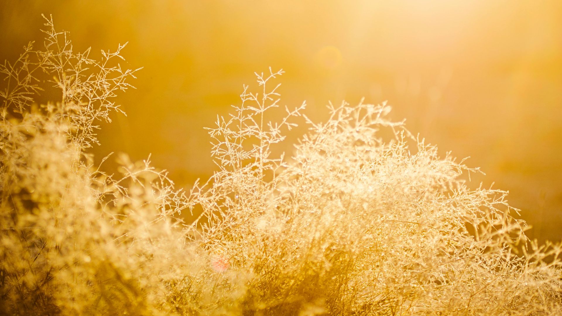7. Les couleurs semblent délavées ou jaunies