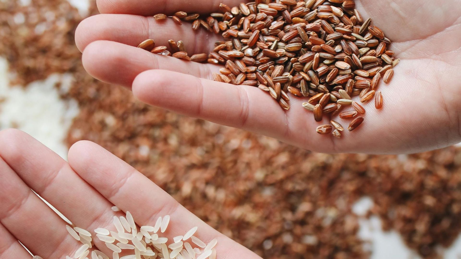 13. Les fibres sont excellentes pour la santé intestinale
