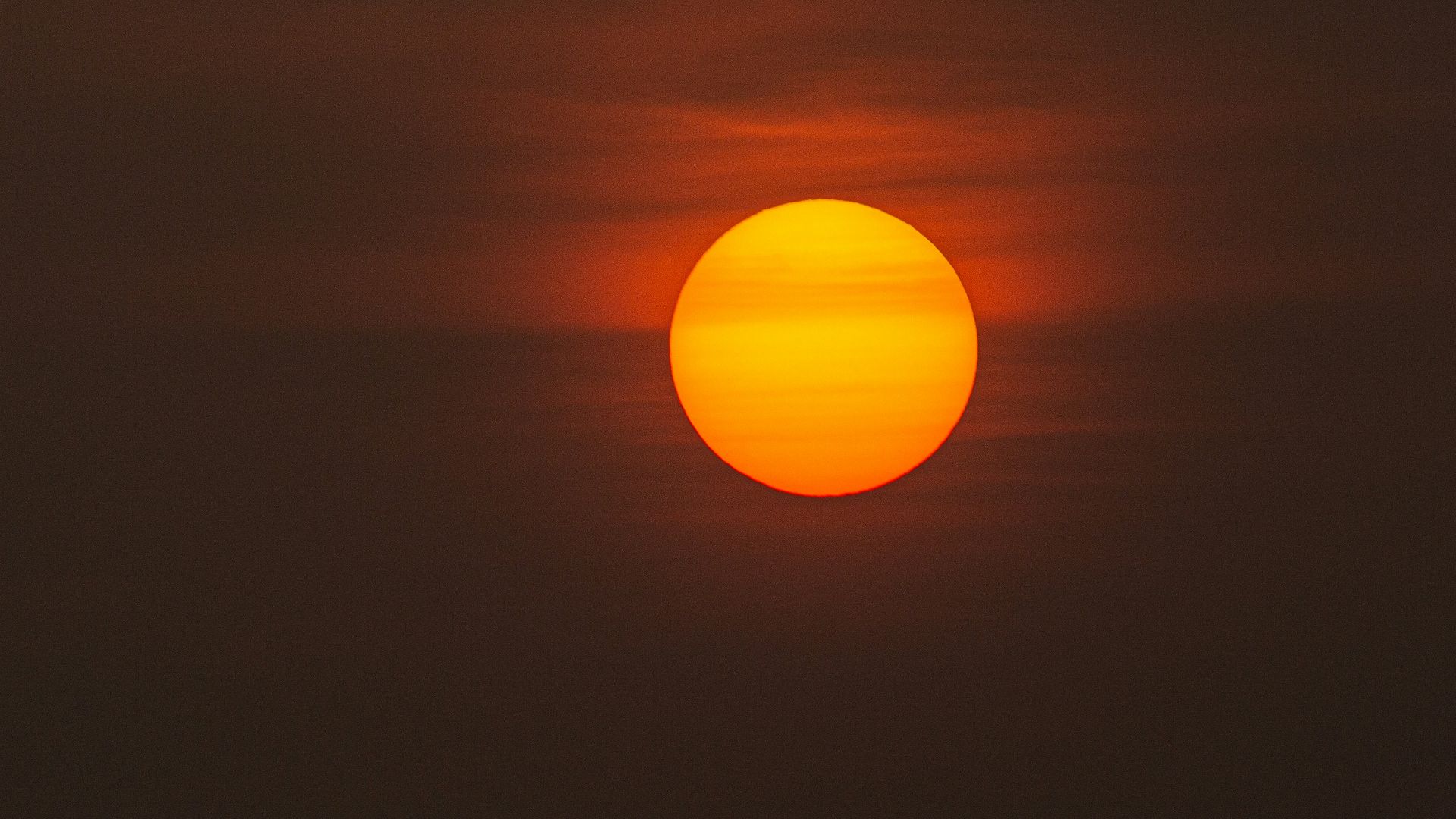 1. Exposition quotidienne au soleil