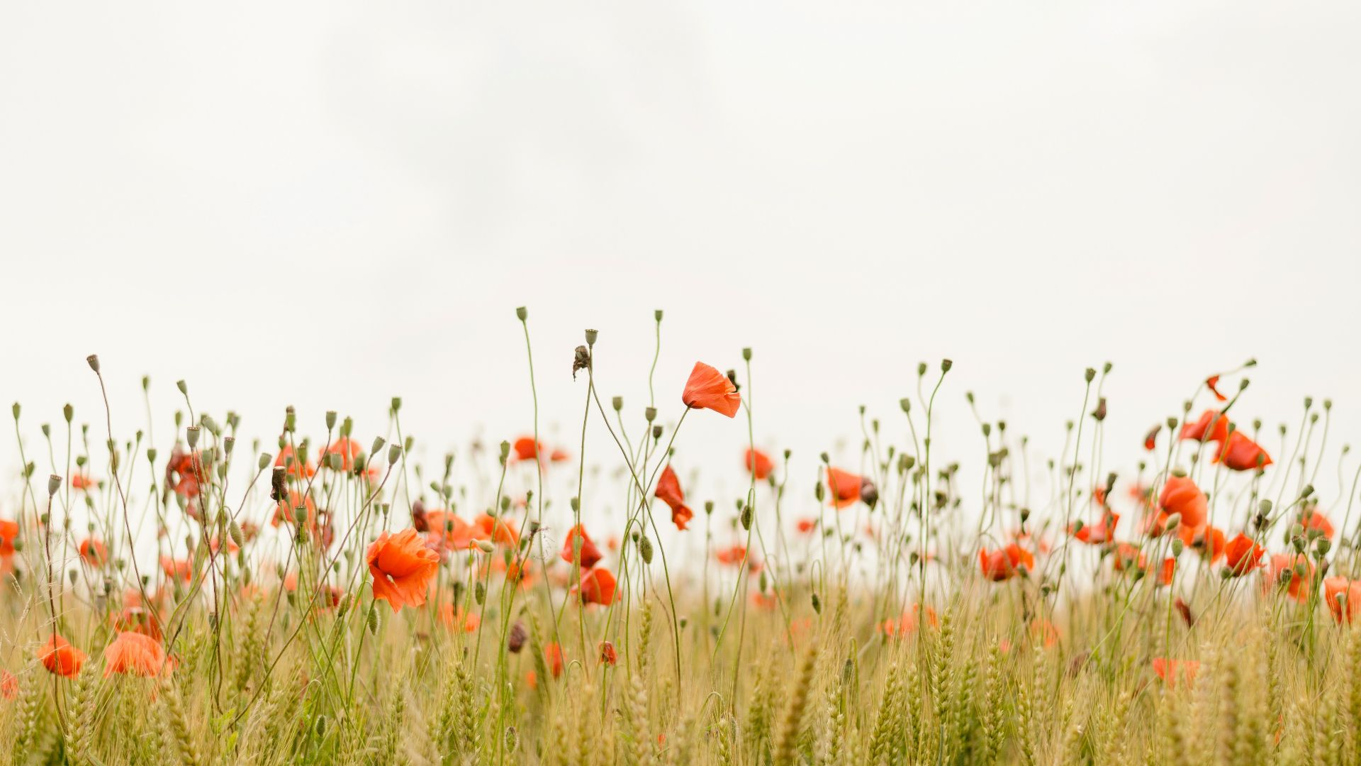 10. Être dans la nature