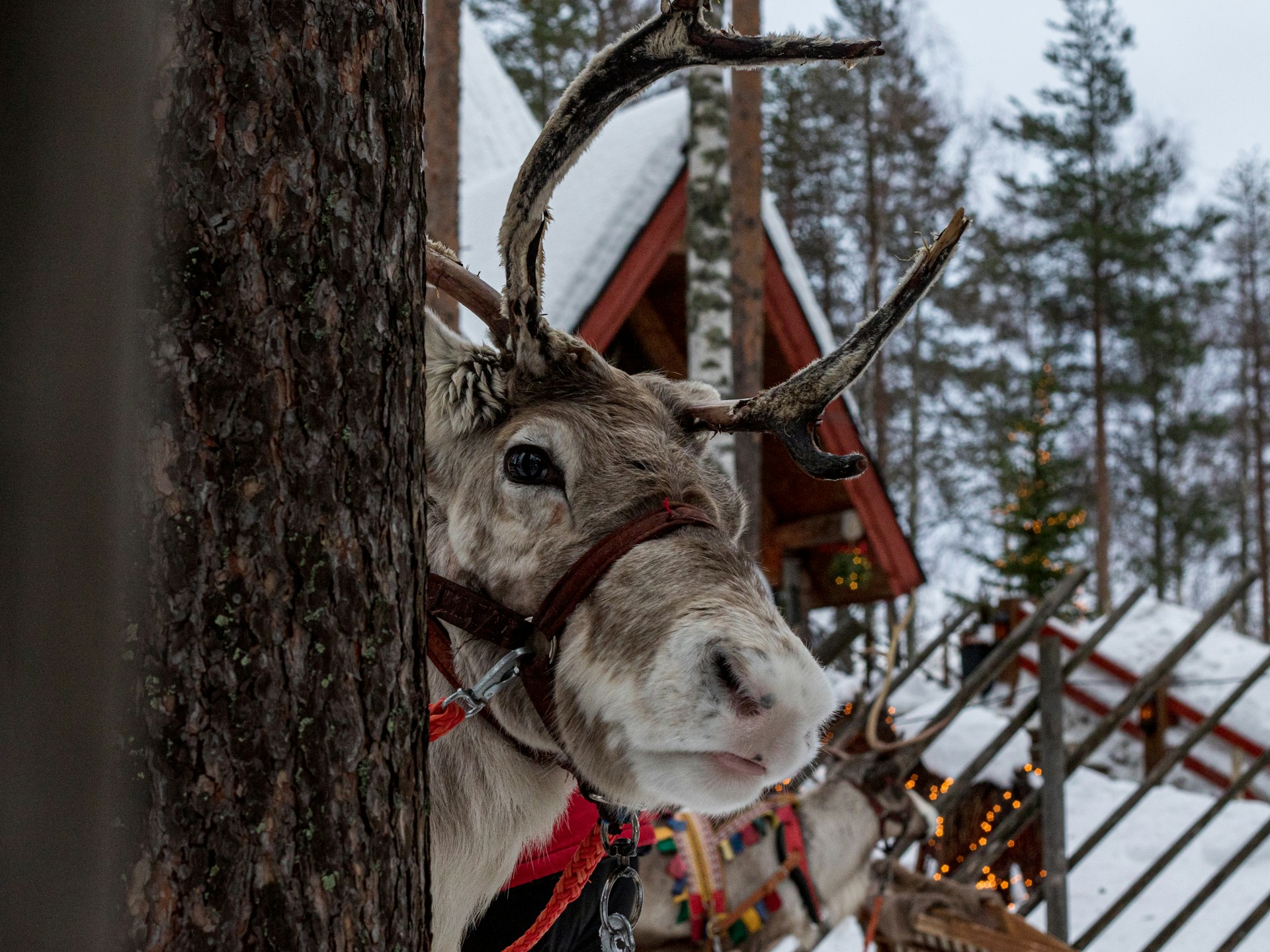 Christmas market in Rovaniemi, Finland