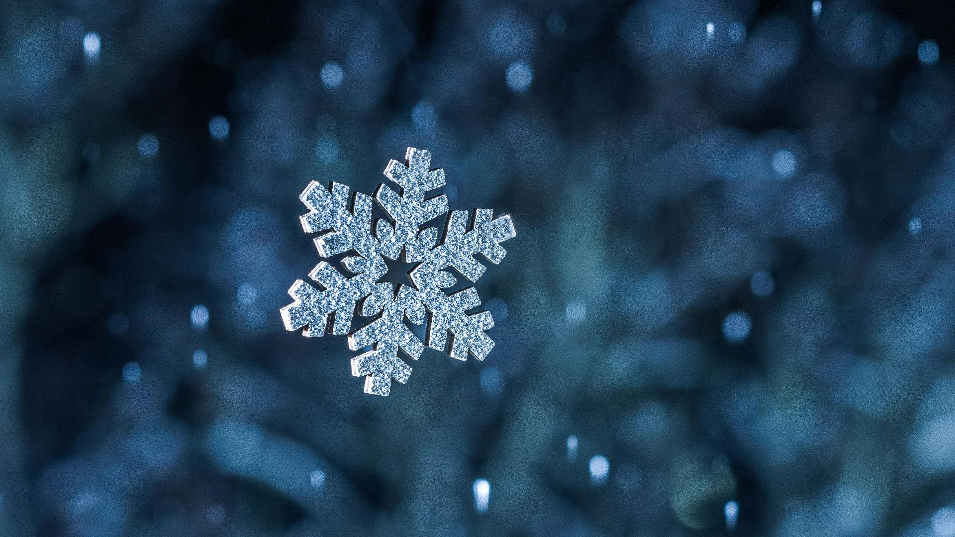 13. Spectacle de projection de flocons de neige au laser