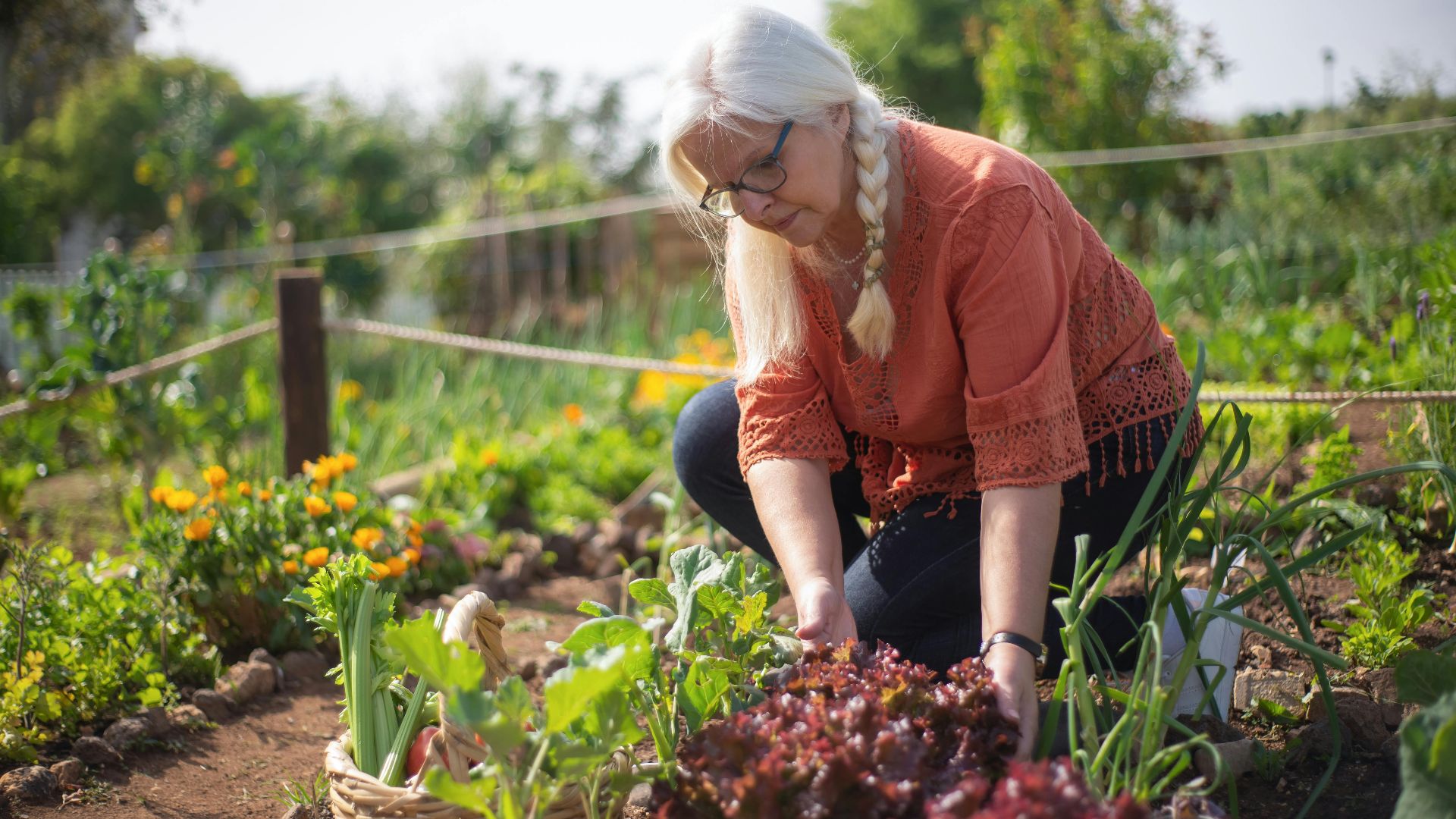 5. Jardinage