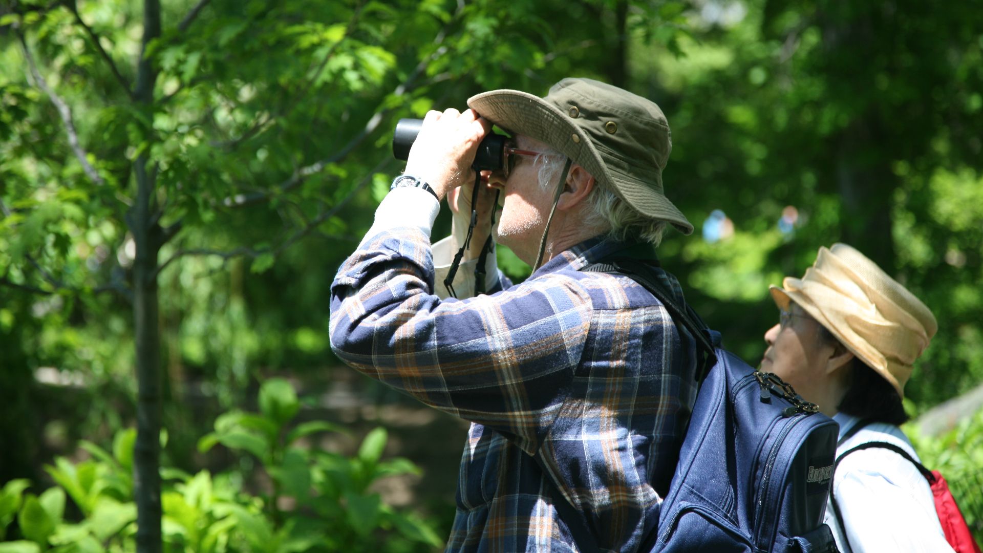 10. Observation des oiseaux