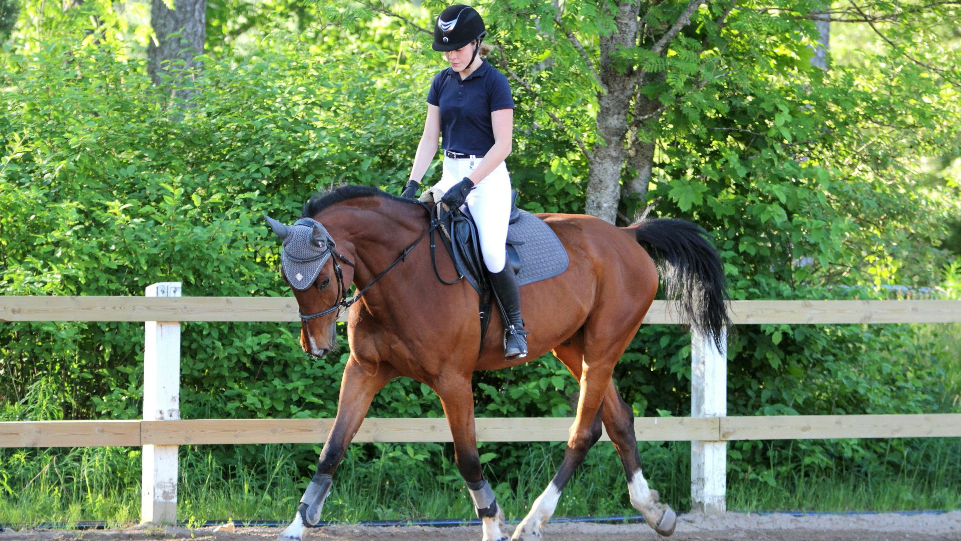 19. Équitation