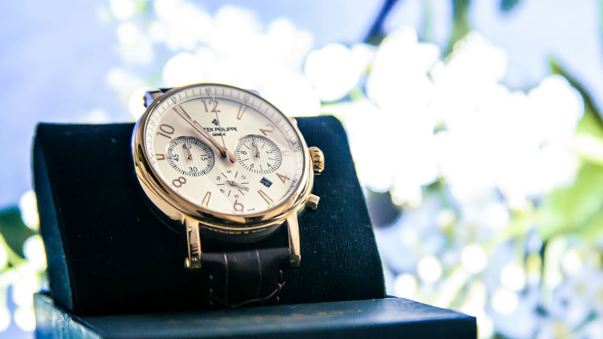 9. Montres Patek Philippe