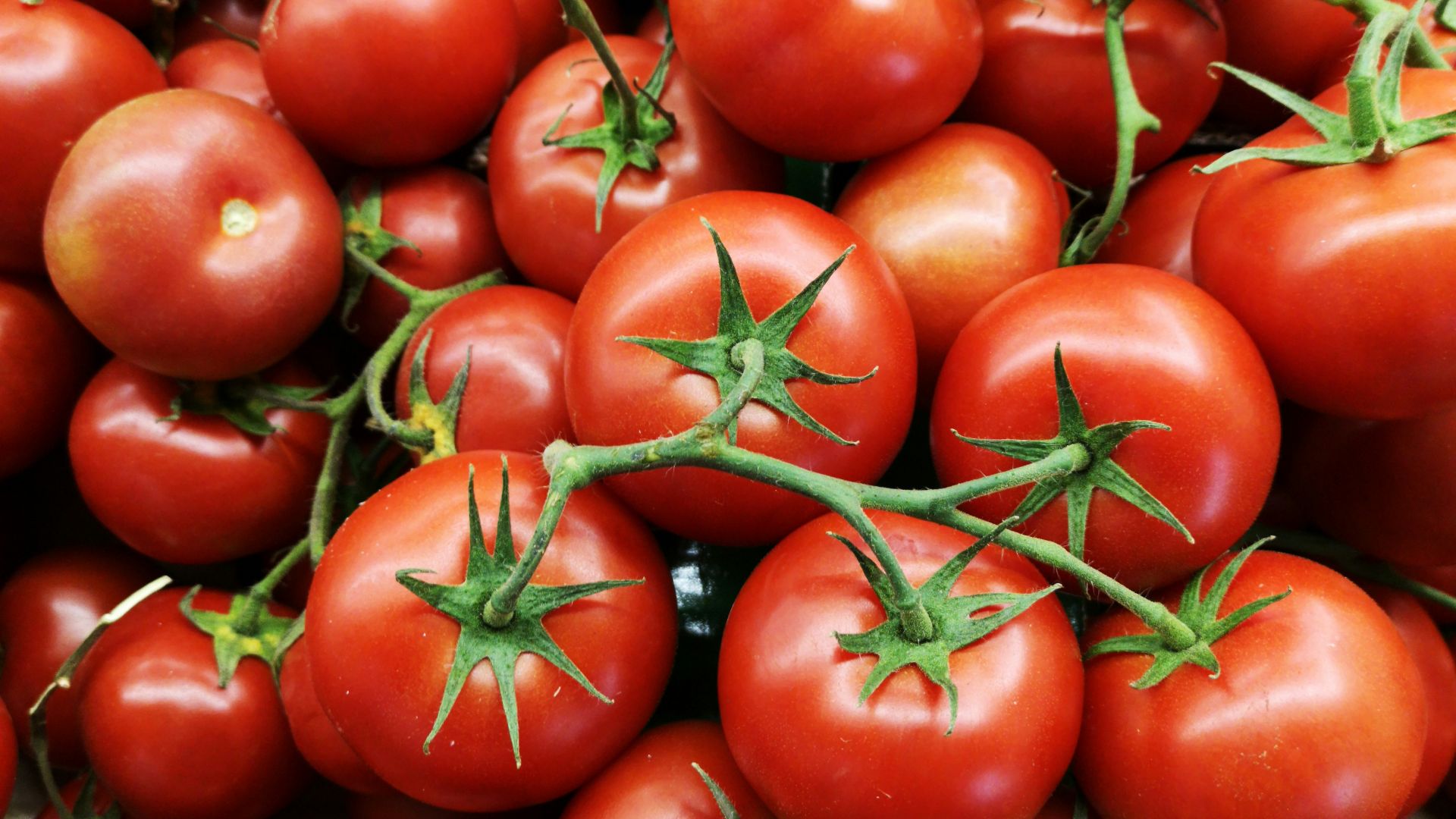 5. Tomates