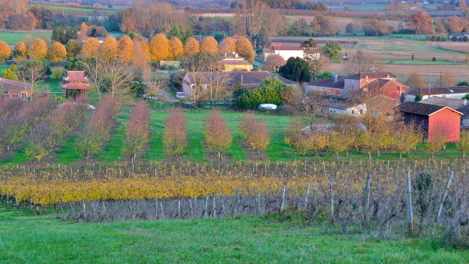 1. Village des Pruniers, France
