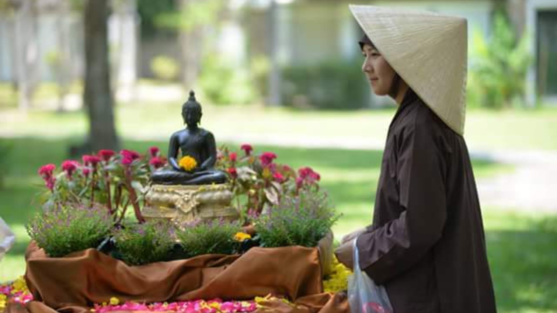 12. Village des prunes, Thaïlande
