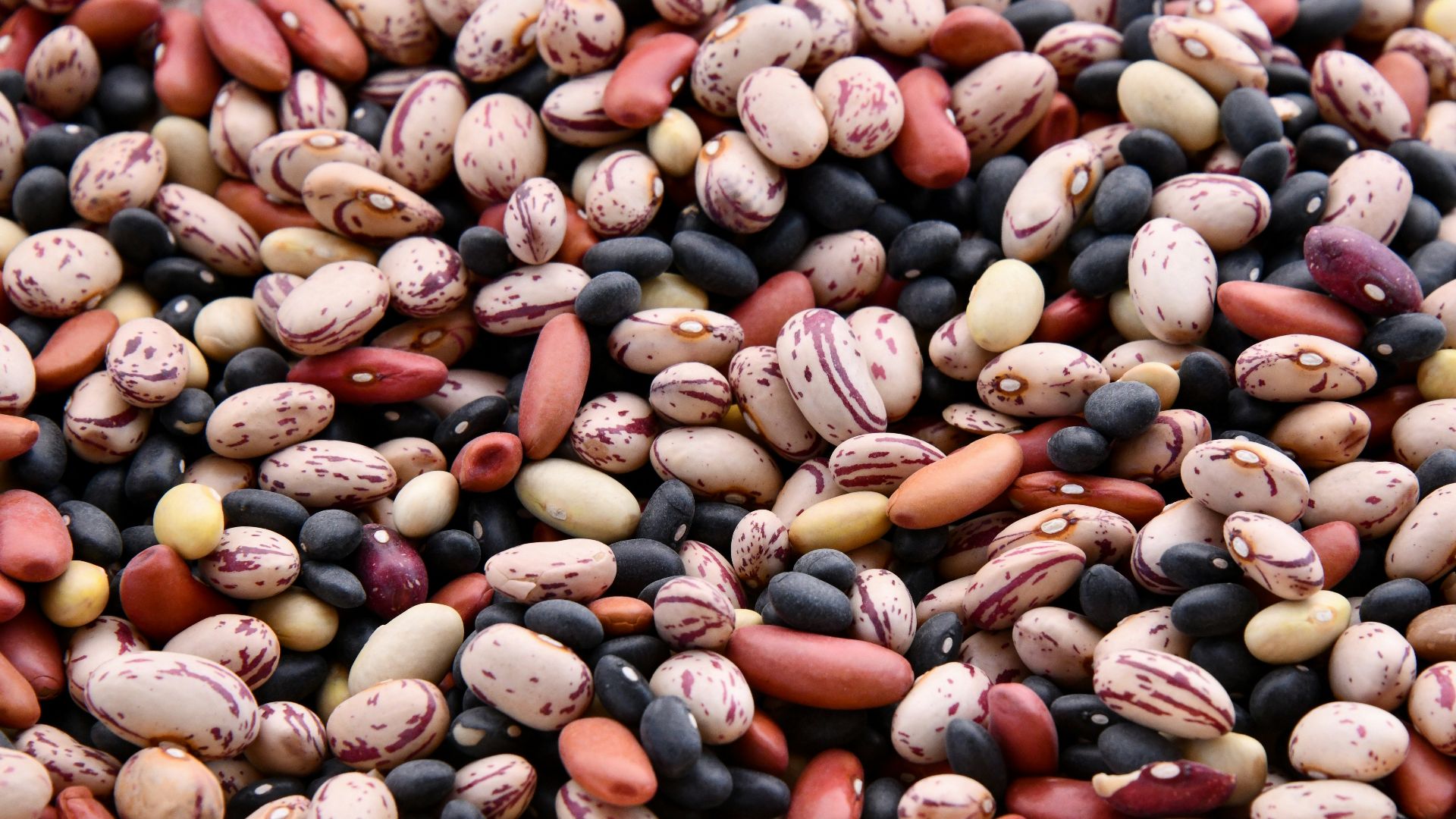 4. Haricots secs
