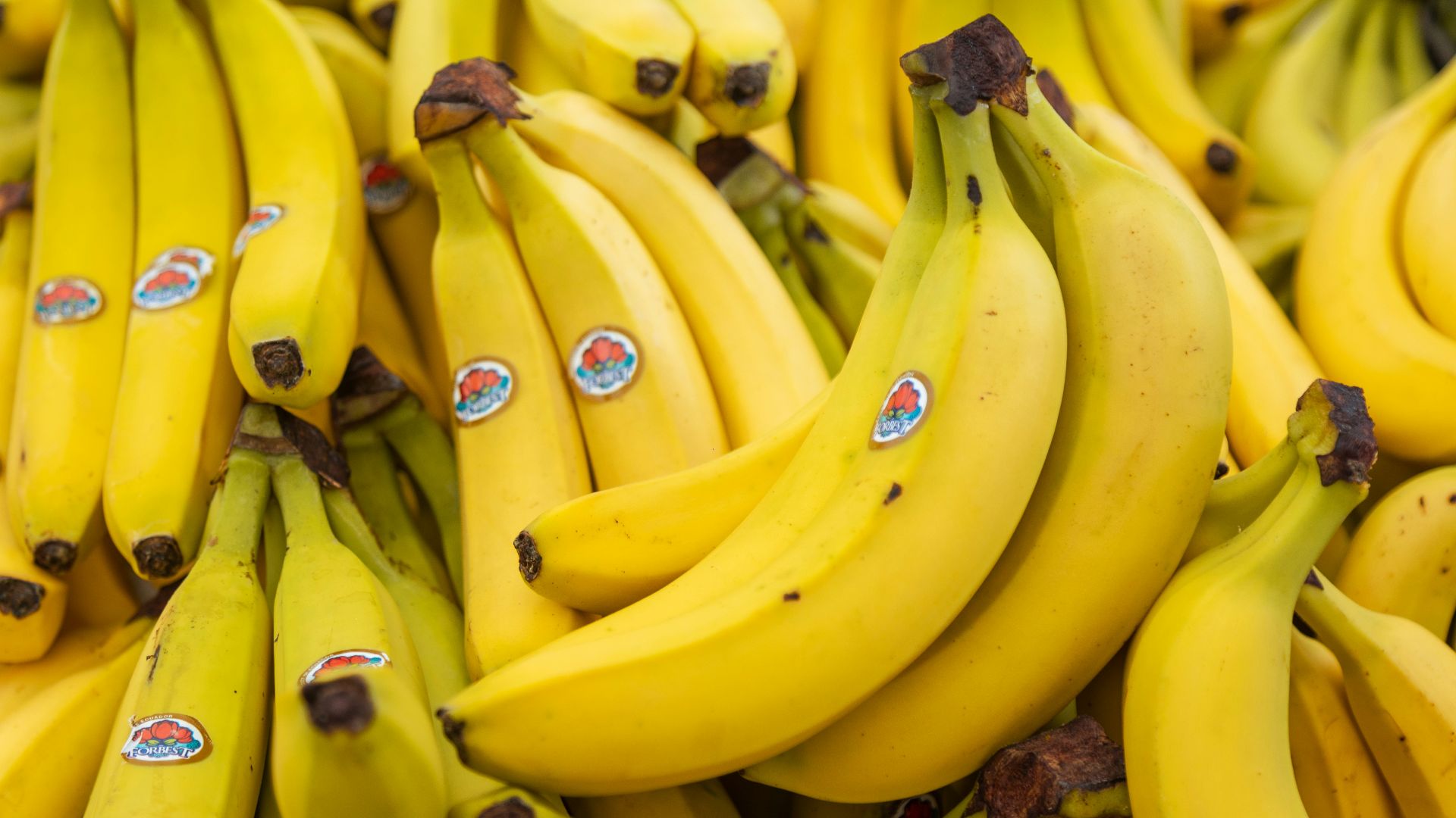12. Bananes