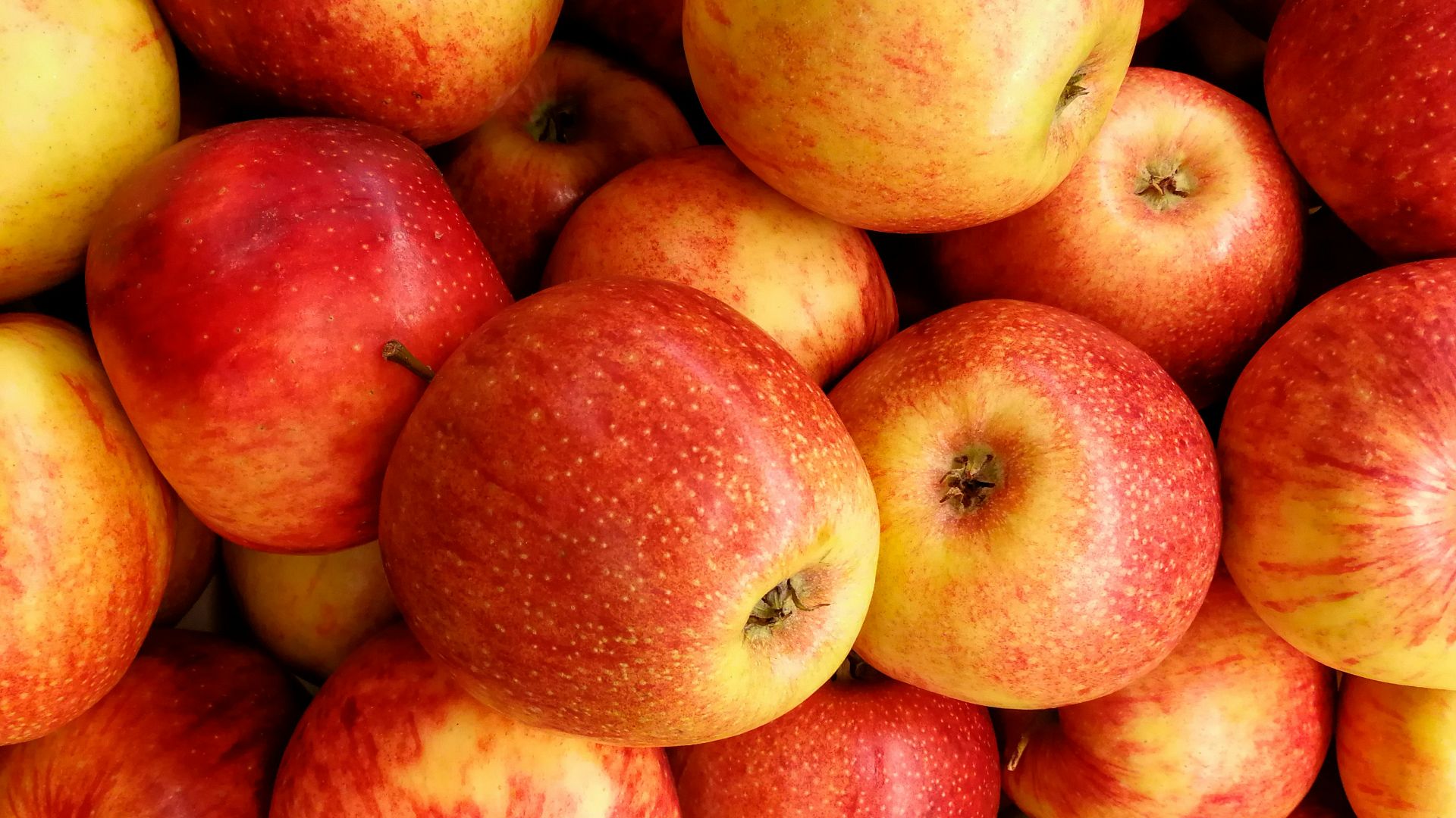 13. Pommes entières