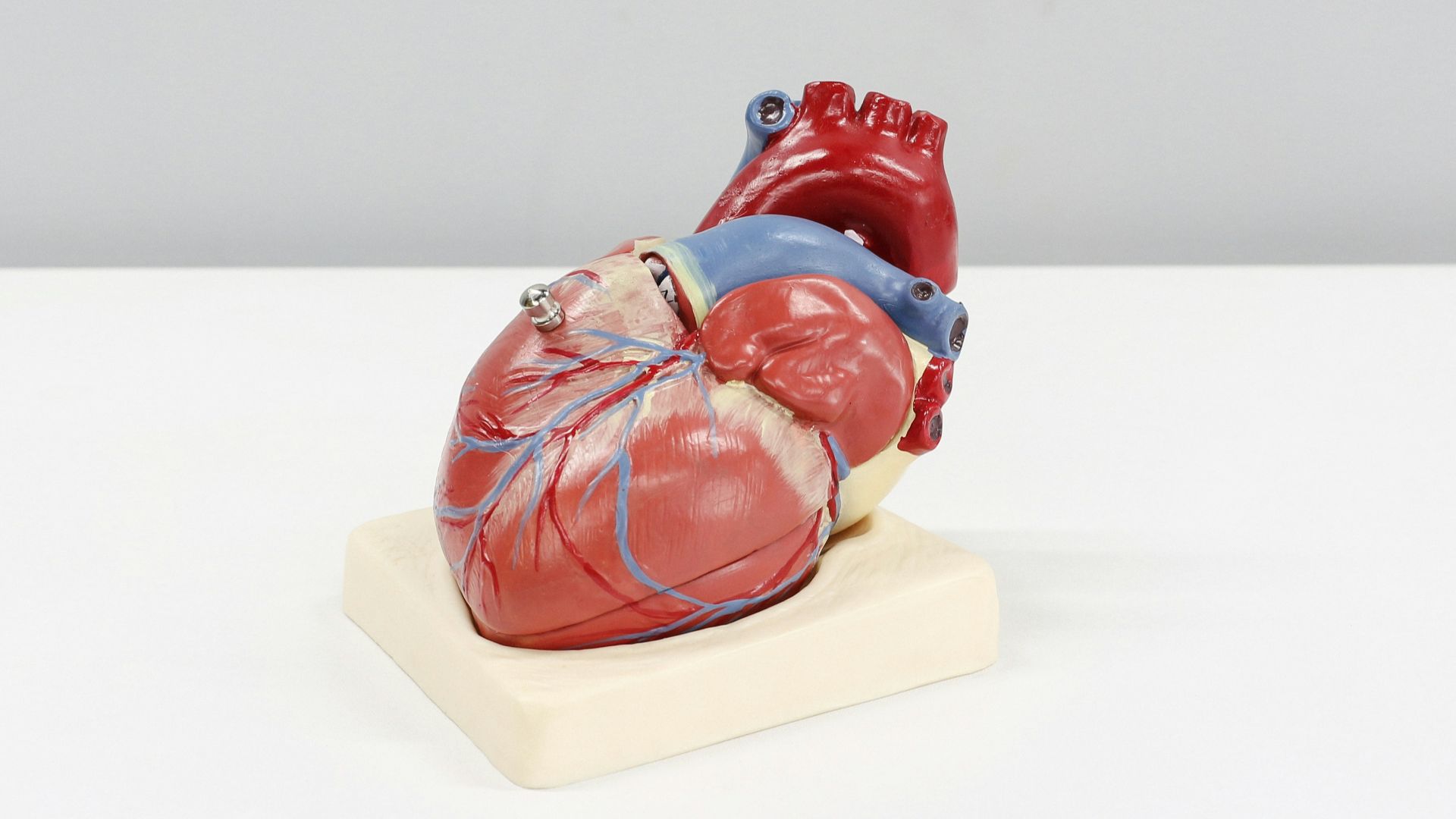 3. Santé cardiaque