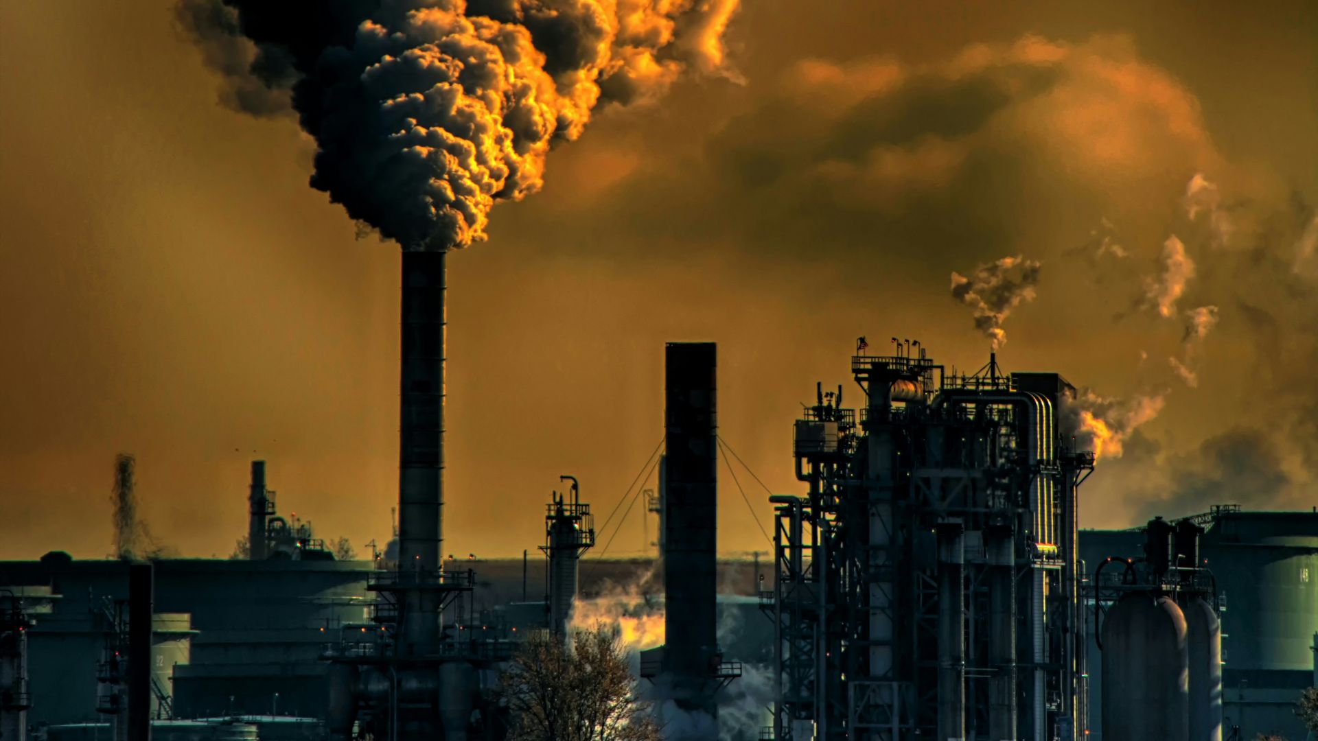 7. Elles réduisent considérablement la pollution atmosphérique locale