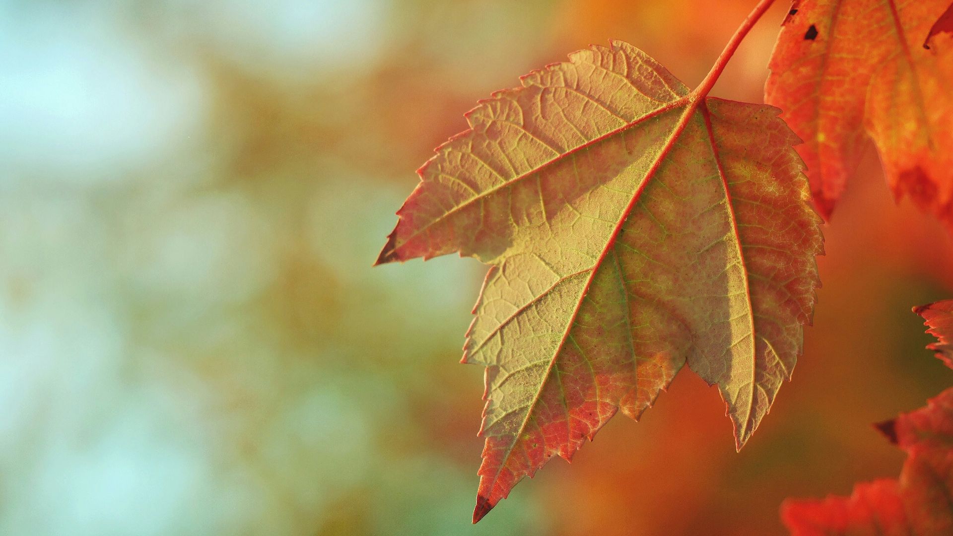 2. Vous êtes à la fin de la saison