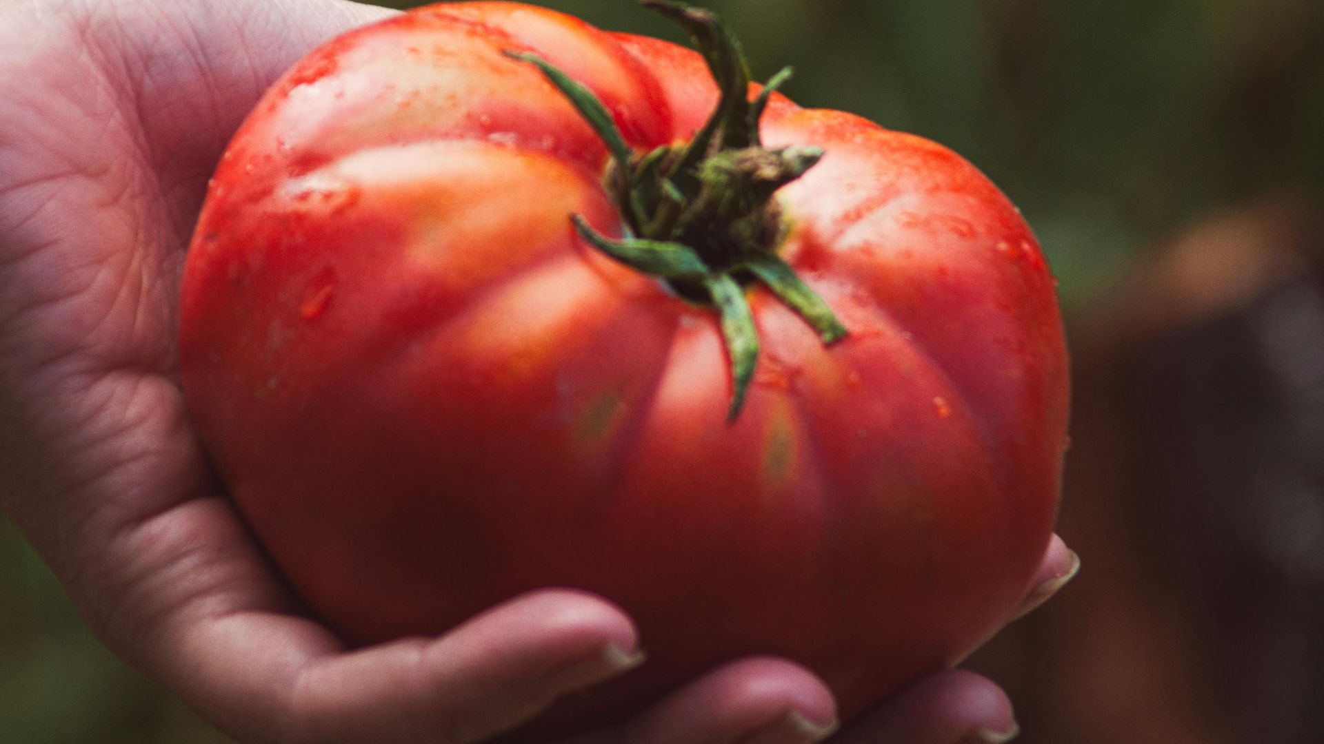20 aliments qui avaient un aspect complètement différent il y a 100 ans