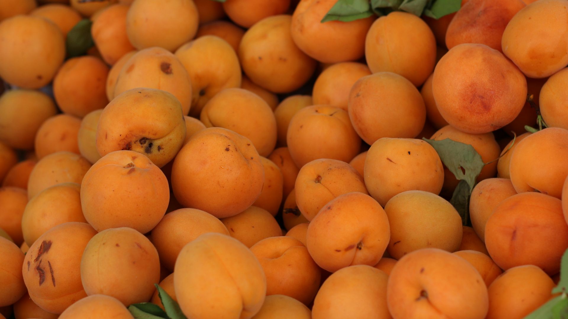 10. Abricots