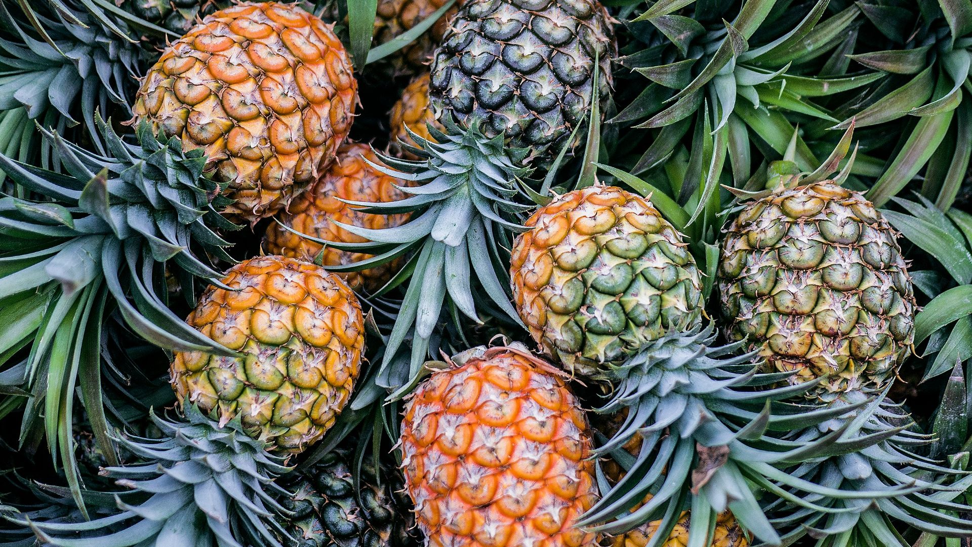 5. Ananas