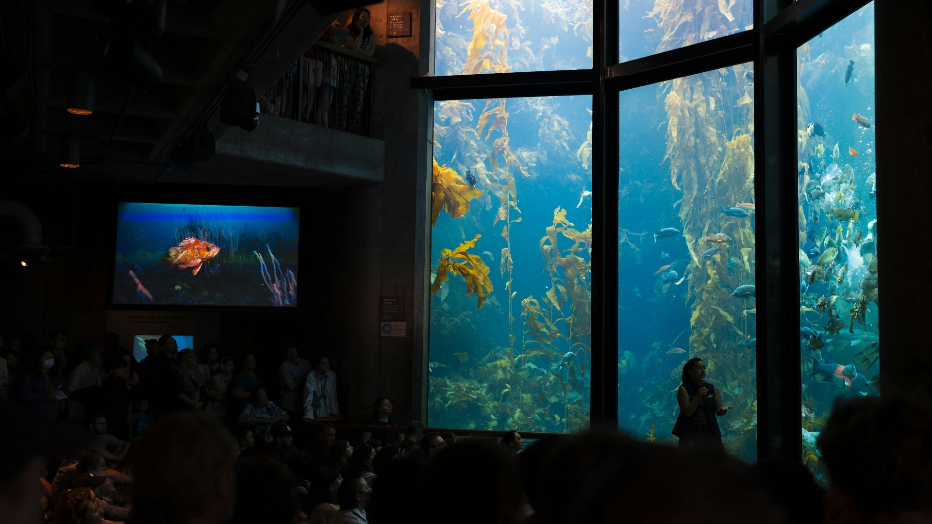 15. Aquariums