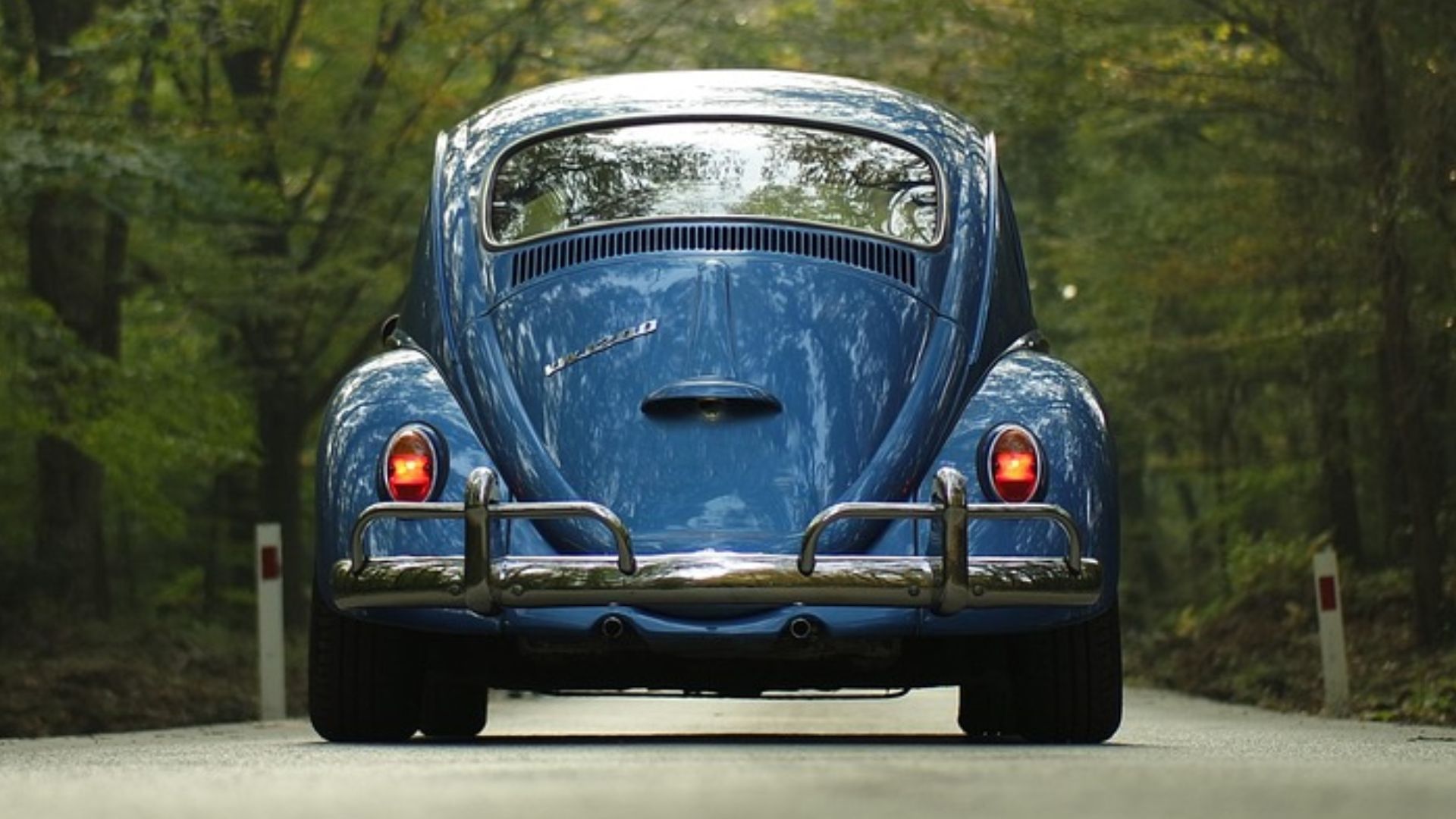 10 choses à toujours emporter pour un road trip et 10 à laisser à la maison