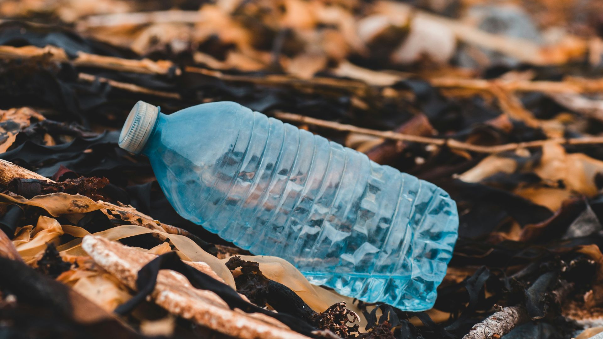 7. Bouteilles en plastique