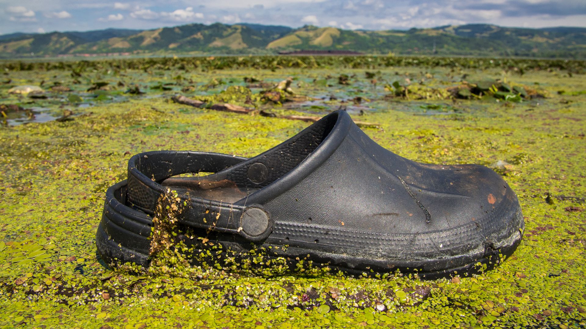9. La gamme Bistro a été conçue pour les travailleurs du secteur de la restauration
