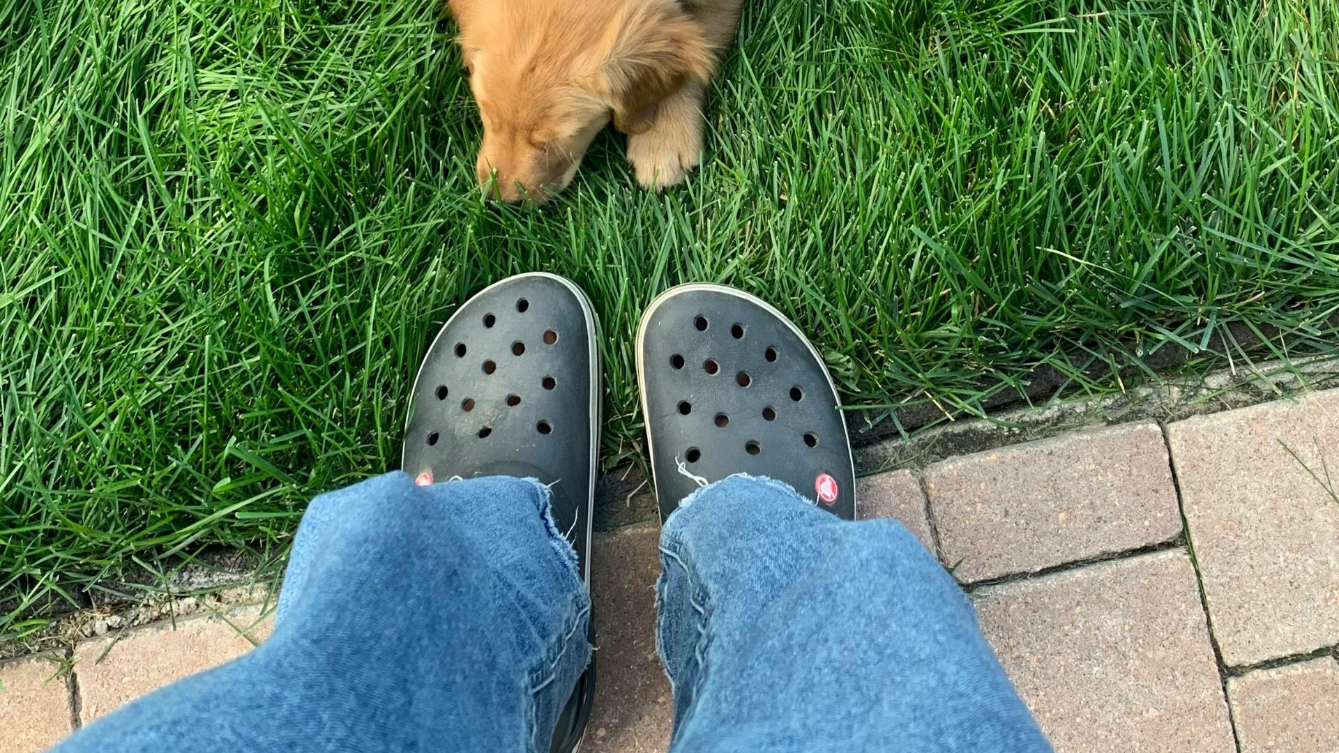 13. Les Crocs doublées de laine de mammouth sont devenues un best-seller pour les temps froids