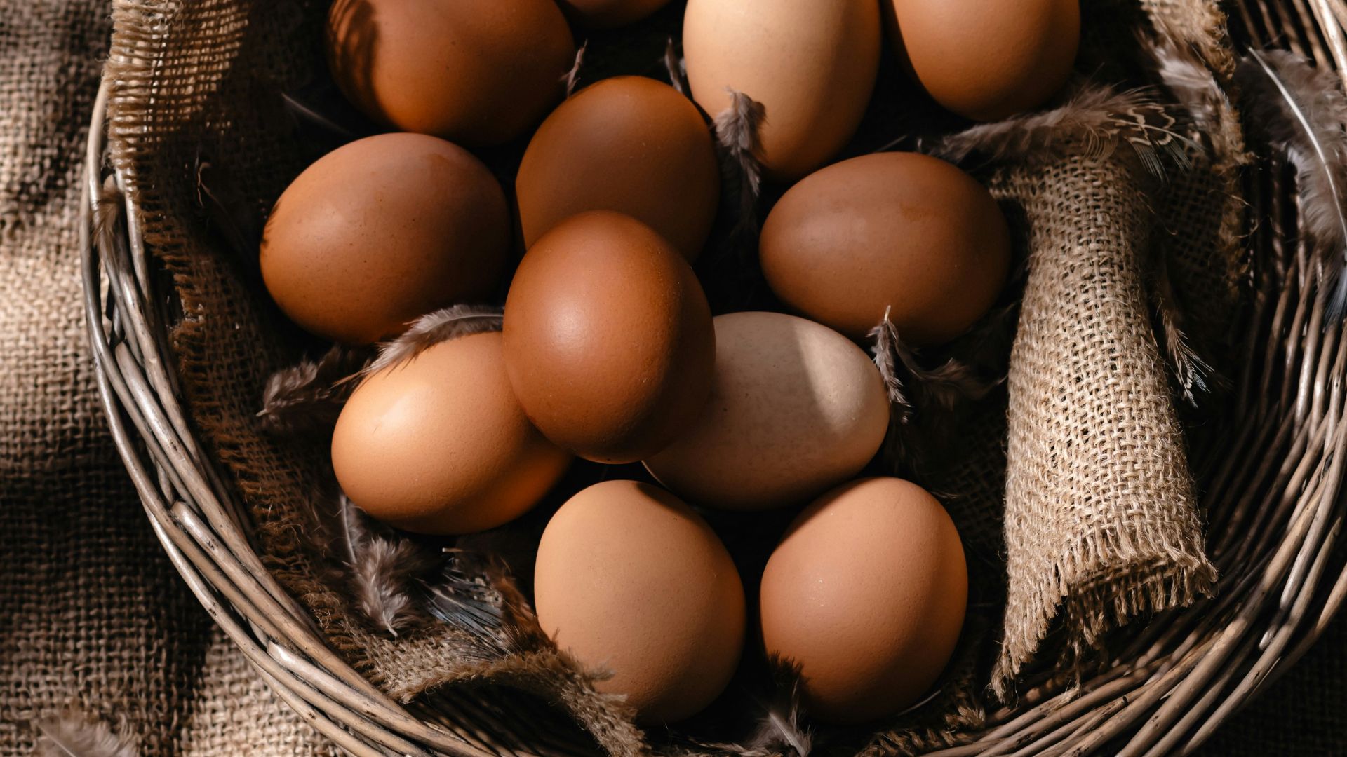 19. Les œufs bruns sont plus sains que les œufs blancs