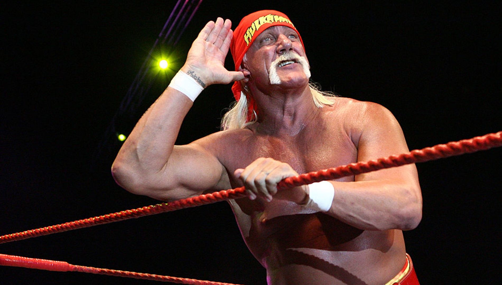 5. Hulk Hogan