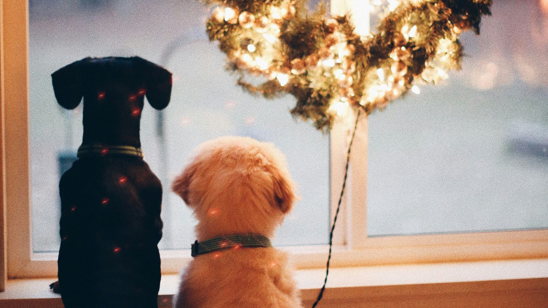 8. Wonderful Christmastime