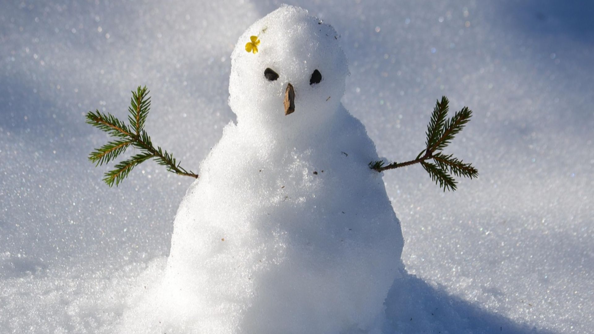 7. Have Yourself A Merry Little Christmas