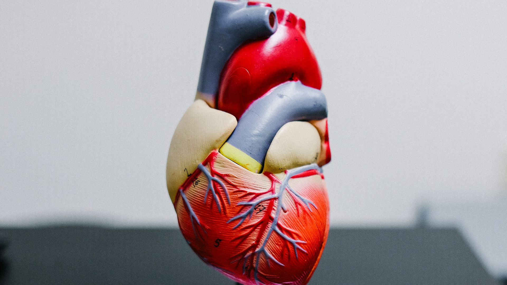 10. Convulsions