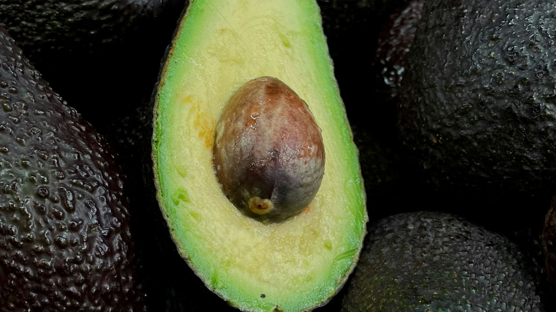 3. L'avocat
