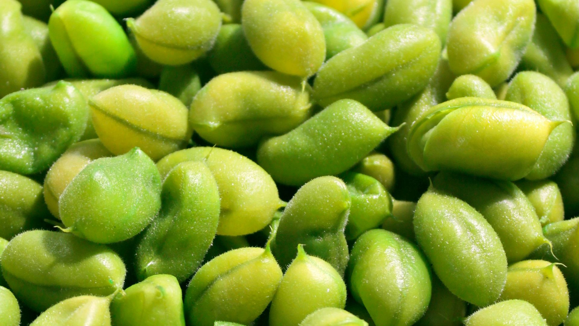 5. Edamame