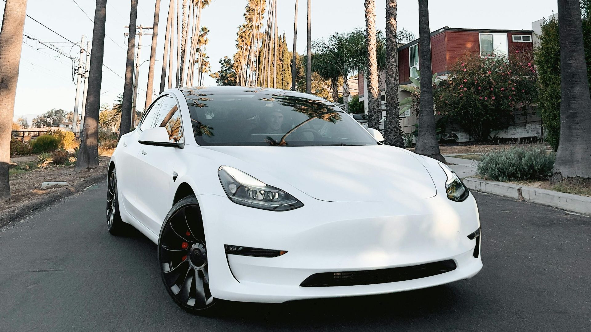 19. Tesla Model Y