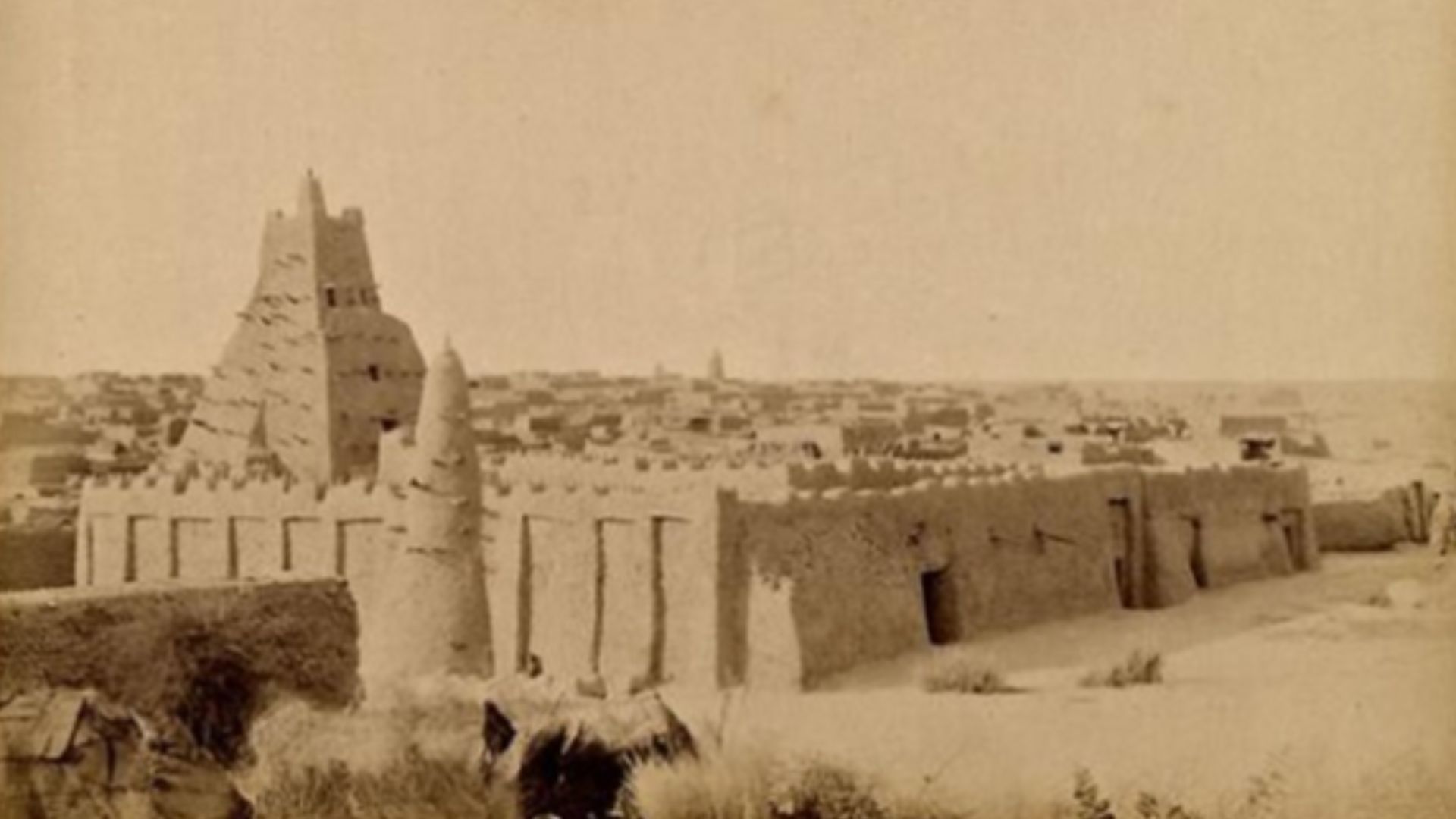 3. L'épanouissement intellectuel de l'empire du Mali 