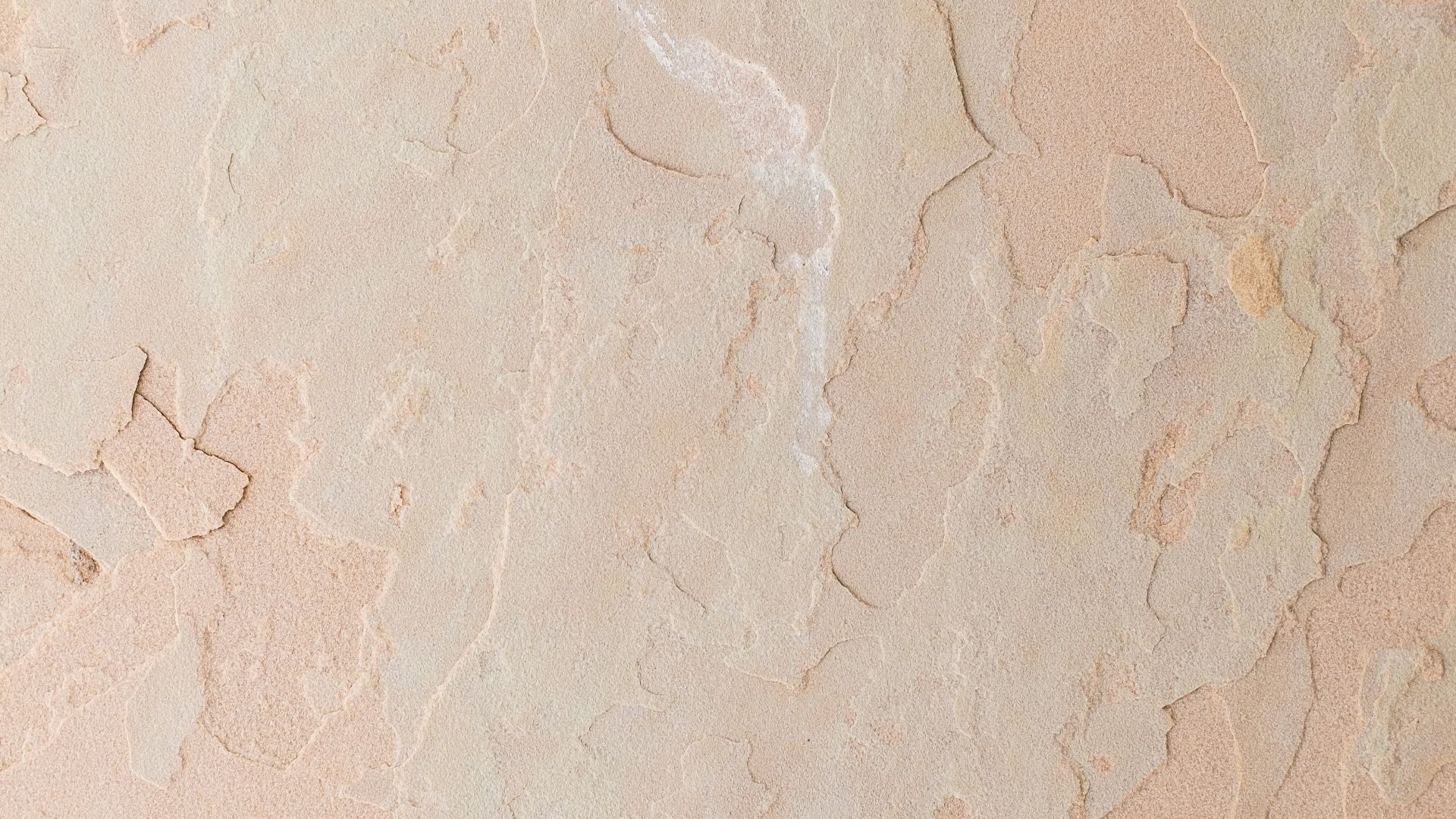 5. Une couleur pâle ou argileuse indique des problèmes biliaires