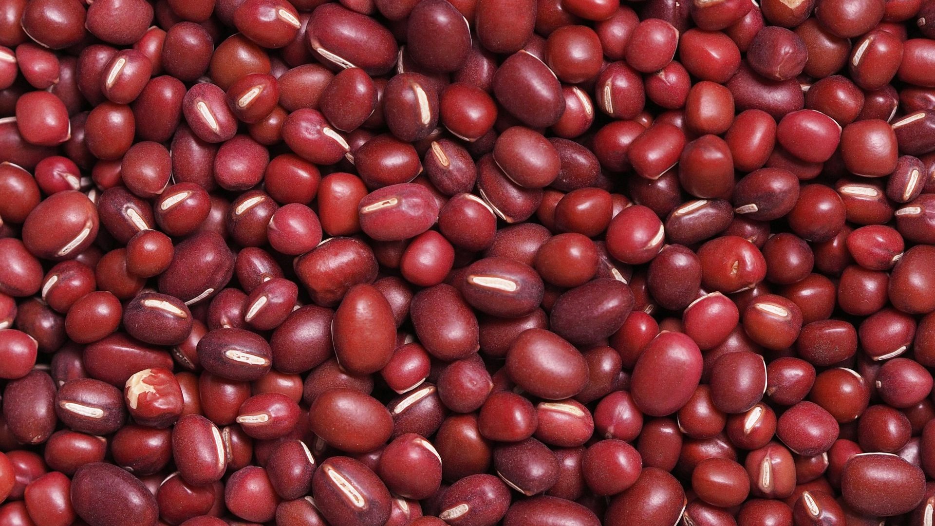 5. Haricots