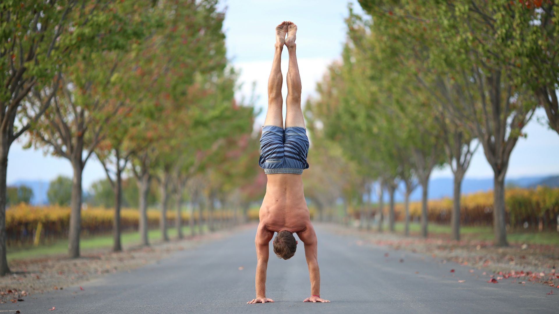 14. Exercices de compression