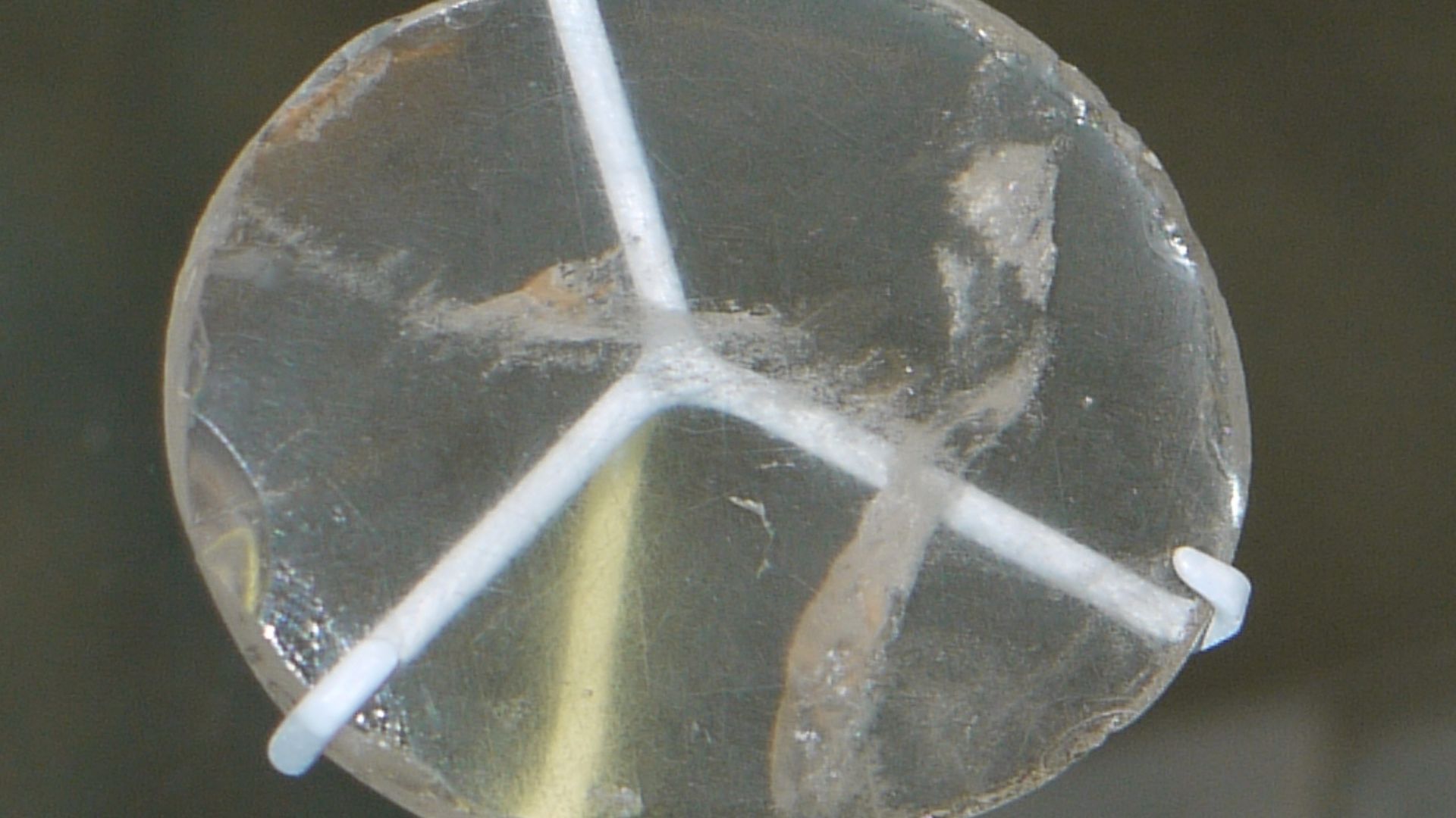 14. La lentille Nimrud