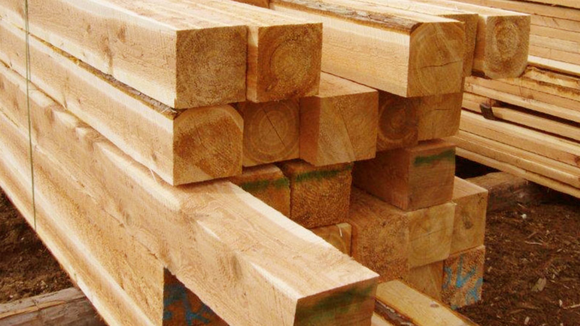 2. Bois ou planches de bois