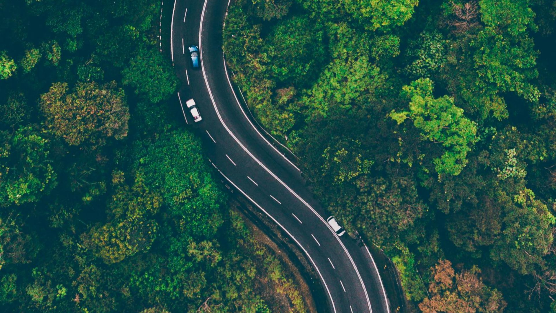 17. Partagez les responsabilités au volant