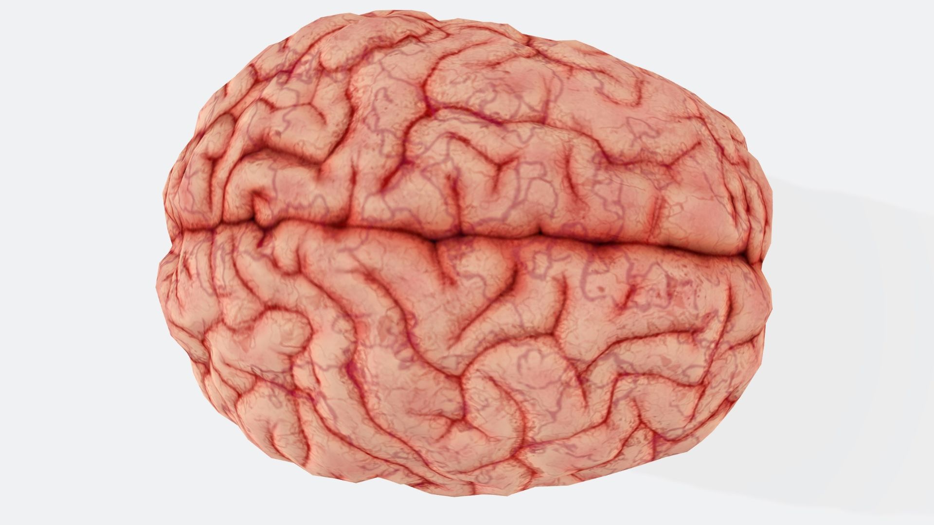 20 façons de garder votre cerveau en forme en vieillissant