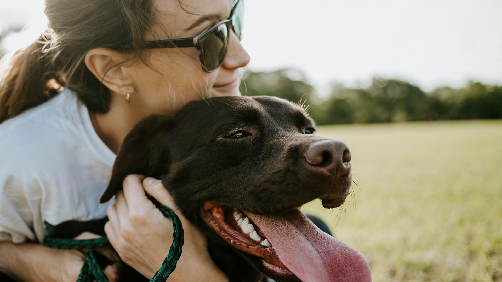 13. Si vous avez des animaux domestiques