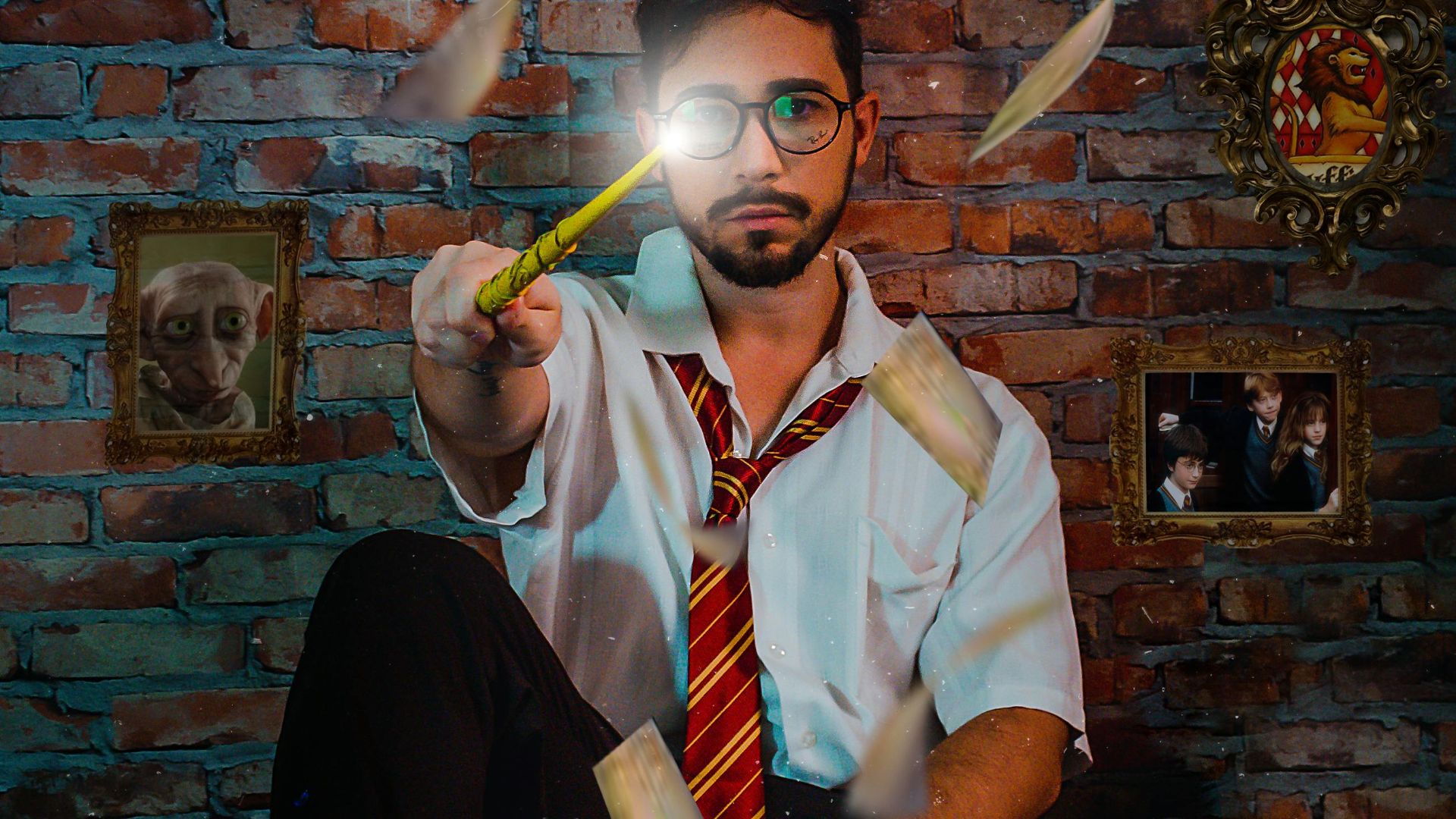 16. La panique Harry Potter