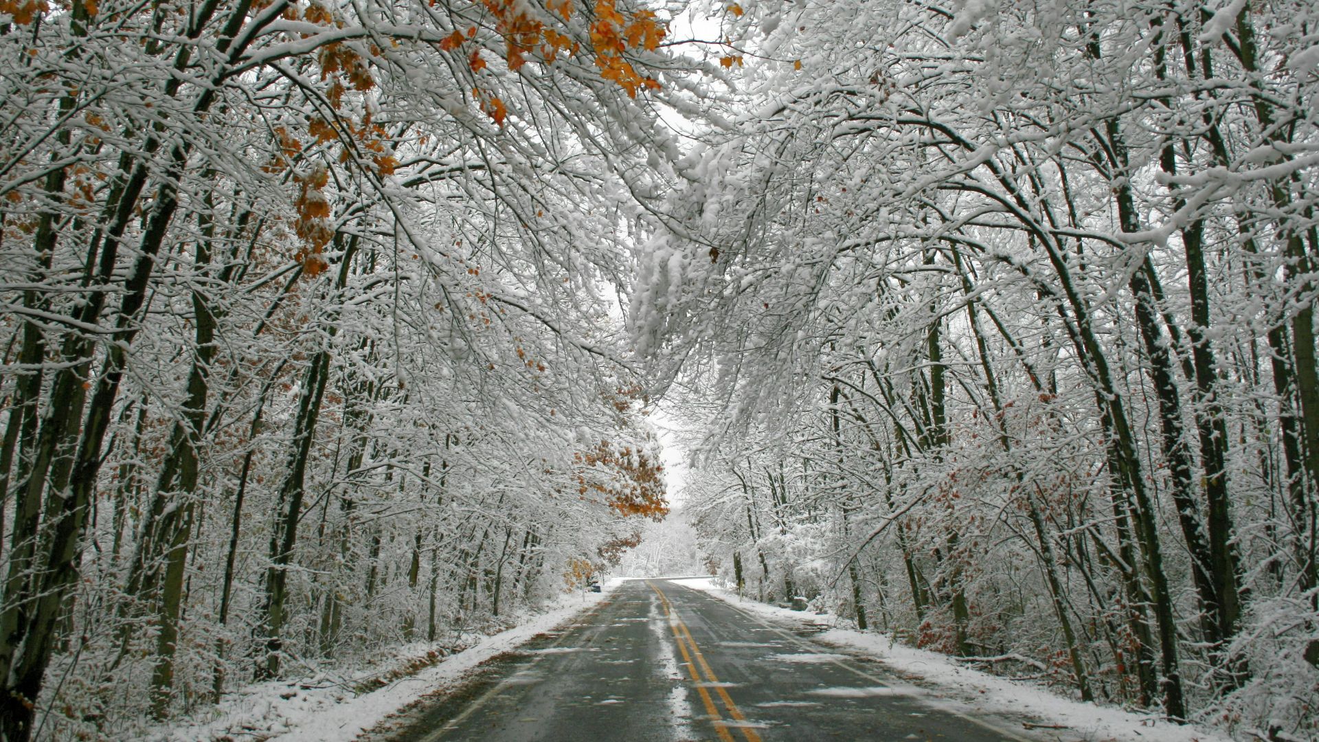 20. Winter Wonderland (1934)