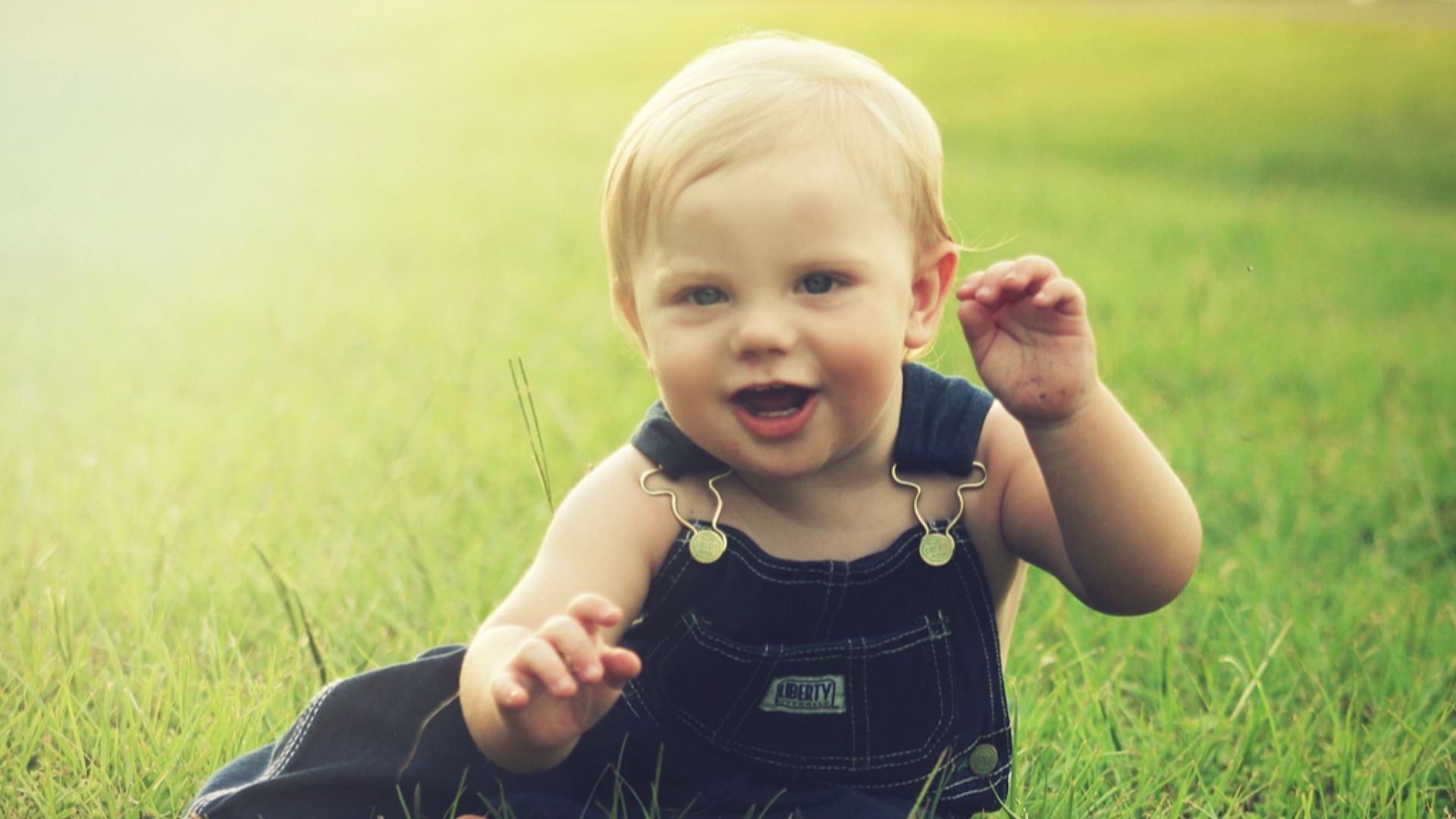 5. Arlo